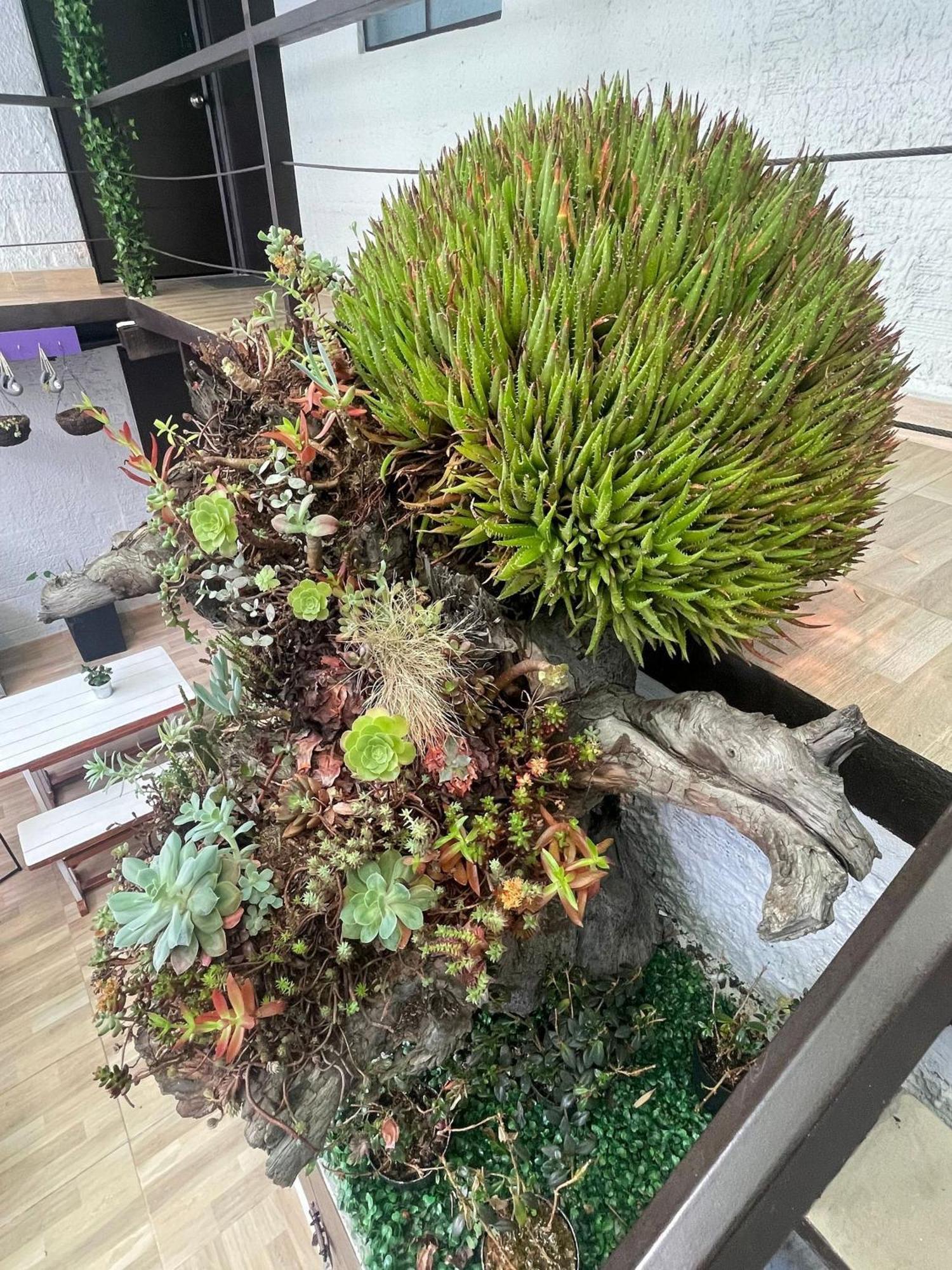 Super Apartamento Central En Casa Colonial 波哥大 外观 照片